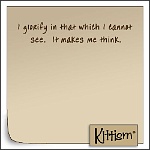 Kittism-replugged-cannot_see